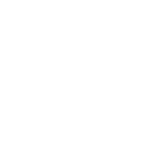 Icon 4h